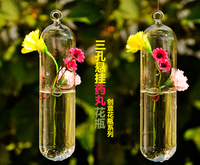 创意玻璃透明水培器皿  简约现代创意水培悬挂花瓶 植物吊瓶礼品_250x250.jpg