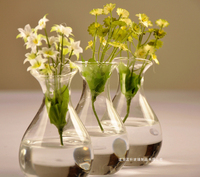 欧式唯美连体水晶玻璃花瓶 水培植物花器 创意时尚家居工艺装饰品_250x250.jpg