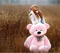 1.6米1.8米毛绒玩具泰迪熊抱抱熊公仔大号长抱枕2米中秋国庆节_250x250.jpg