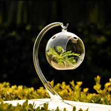 苔藓多肉微景观生态瓶 可悬挂花瓶植物DIY盆栽办公室家居玻璃摆件