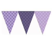 新款 派对布置通用款紫色系旗帜彩旗三角串旗吊旗制作_250x250.jpg