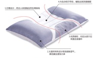 家纺正品枕芯枕头磁疗决明子护颈枕芯保健枕头特价促销特价包邮_250x250.jpg