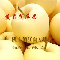 老树黄香蕉黄元帅苹果新鲜水果香甜粉苹果黄金帅宝宝爱_250x250.jpg