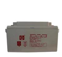 ATA UPS全新正品 免维护铅酸蓄电池ATA12V 65AH UPS电源外置电池_250x250.jpg