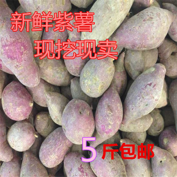 浙江新鲜番薯紫薯紫地瓜农家自种现挖现卖绿色有机蔬菜五斤包邮