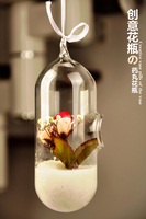 苔藓微景观吊瓶悬挂生态瓶 创意玻璃单孔药丸形花瓶 水培绿植花器_250x250.jpg