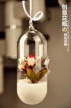 苔藓微景观吊瓶悬挂生态瓶 创意玻璃单孔药丸形花瓶 水培绿植花器