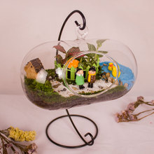 创意苔藓植物玻璃吊瓶微景观盆栽节日礼品情侣礼物长久情人节