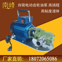 WCB齿轮油泵自吸式电动抽油泵大流量高粘度油泵机油油泵润滑油泵_250x250.jpg