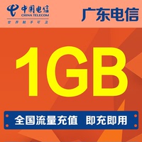 广东电信流量1GB手机流量全国通用流量当月有效自动充值_250x250.jpg