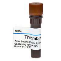 【可开发票】 Thrombin 凝血酶  s T4648 1000U_250x250.jpg