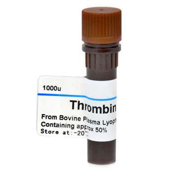 【可开发票】 Thrombin 凝血酶  s T4648 1000U