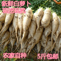 新鲜白萝卜绿色蔬菜 农家自种 有机种植 当日采摘发货 5斤包邮_250x250.jpg
