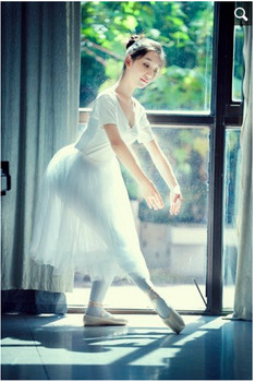 短袖长纱裙成人芭蕾舞裙表演裙芭蕾蓬蓬裙演出服舞蹈服公主写真裙