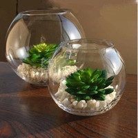 玻璃圆球花瓶 特大 花卉植物 鱼缸花盆水培球形透明 圆形玻璃_250x250.jpg