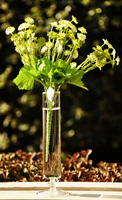 欧式创意水晶台面透明玻璃花瓶酒杯式水培富贵竹花器家居客厅摆件_250x250.jpg