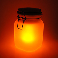 阳光精灵罐 SUCK UK 可彩绘阳光罐瓶 吸收存储阳光 防水自动感光_250x250.jpg