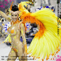 桑巴舞演出服装 狂欢节，羽毛演出服装 桑巴舞003_250x250.jpg