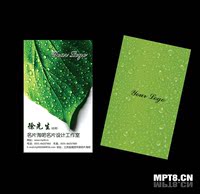 高档彩色名片制作定制名片印刷 绿色环保名片模板 名片淘吧_250x250.jpg