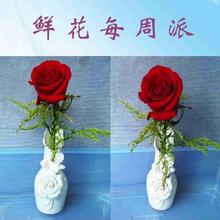 深圳初恋包季送花、包花包送包花瓶 友情送花 每周1朵12周起订