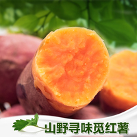 山东地瓜15斤沙地红薯番薯红心鲜山芋蔬菜 新鲜特价包邮_250x250.jpg