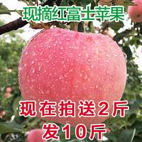 【溪口】陕西脆甜新鲜苹果水果新鲜红富士苹果水果8斤送二斤_250x250.jpg
