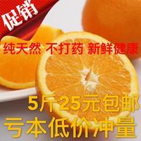 湖北秭归五月红夏橙中个头5斤装约17个左右新鲜水果特价包邮_250x250.jpg