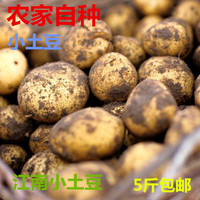 秋季新鲜土豆马铃薯非转基因有机迷你黄心小土豆农家自种包邮_250x250.jpg