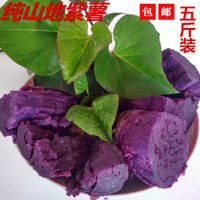 现挖新鲜生紫薯 有机红薯紫番薯紫地瓜 紫心紫薯农家自种5斤 甜糯_250x250.jpg