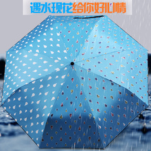 创意遇水开花女遮阳伞晴雨两用折叠防晒防紫外线太阳伞全自动开收