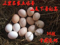 正宗农家散养土鸡蛋柴鸡蛋新鲜鸡蛋绿壳蛋纯天然新鲜鸡蛋30枚包邮_250x250.jpg
