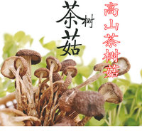 精选古田乡下 农家自种 特级 未开伞茶树菇  又名冰菇苞250g_250x250.jpg