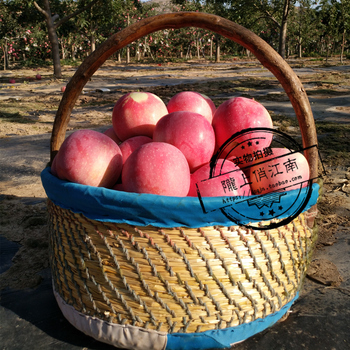 10斤脆香甜 红富士苹果 甘肃静宁红富士苹果80--85 精品红富士