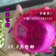 新鲜台湾蜜宝 金都一号 红心火龙果 水果PK越南火龙果4斤装包邮