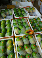 海南红心木瓜新鲜现摘夏威夷青皮木瓜热带特级水果8斤装包邮包甜_250x250.jpg