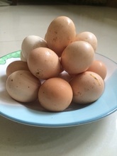 贵州特产农家散养土鸡蛋绿色孕妇月子期营养品 补品 39元/20枚