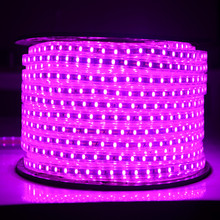 紫色灯带LED客厅吊顶暗槽光源白光室外灯带LED防水户外长条