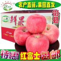 现摘现发 陕西红富士苹果10斤装新鲜水果特价包邮产地直销_250x250.jpg