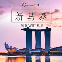 新加坡马来西亚wifi新马泰通用随身wifi租赁4G无线上网卡egg包邮_250x250.jpg