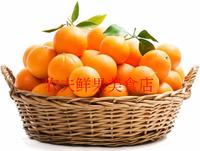 三峡特产天然新鲜孕妇儿童有机水果橙子橘子果园现摘现发5斤装_250x250.jpg