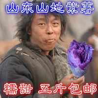 沂蒙山特产新鲜紫薯 甜糯红薯紫番薯紫地瓜 紫心紫薯 农家自种5斤_250x250.jpg