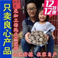 A级白花菇香菇干货农家自产 河南西峡蘑菇特剪腿级500g一斤茶花菇_250x250.jpg