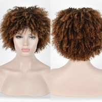 整顶假发非洲美国黑人假发蓬松短卷发黑人女性的化纤发一件代发_250x250.jpg