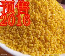 食用2016小米好吃的新小米内蒙农家宁城县孕妇月子米非转米500g