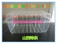 厂价销售一次性羊肉肥牛片吸塑盒一斤装透明连体包装吸塑塑料盒_250x250.jpg
