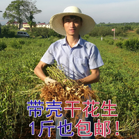 越南品种农家自种带壳干花生紫黑花生休闲零食小吃生花生1斤包邮_250x250.jpg