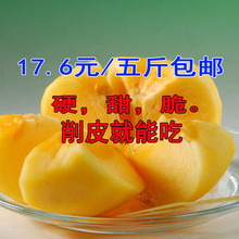 新鲜水果削皮脆甜柿子硬柿子非软柿子冰蜜糖心5斤果径（20-25个）