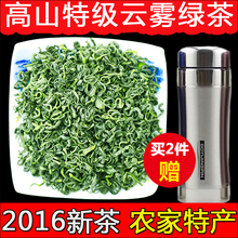 绿茶2016新茶春茶高山云雾绿茶特级散装农家茶叶浓香耐泡500g包邮