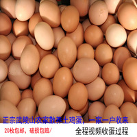武陵山农家散养土鸡蛋柴鸡蛋笨鸡蛋一家一户收来20枚起全国包邮_250x250.jpg