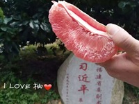 正宗福建平和琯溪红肉蜜柚2个装5斤红心柚子孕妇新鲜特产水果包邮_250x250.jpg